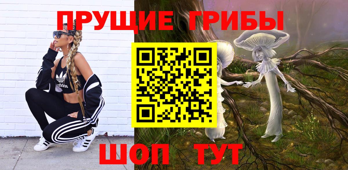 Псилоцибиновые грибы Psilocybe Нерюнгри